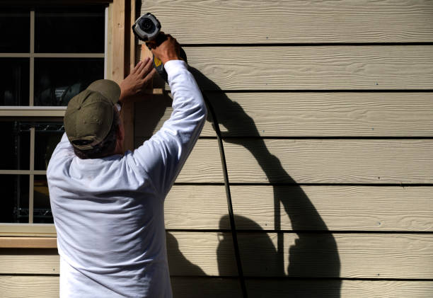 Best Siding Painting and Refinishing  in Bithlo, FL
