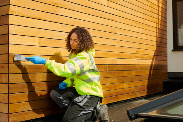 Professional Siding in Bithlo, FL